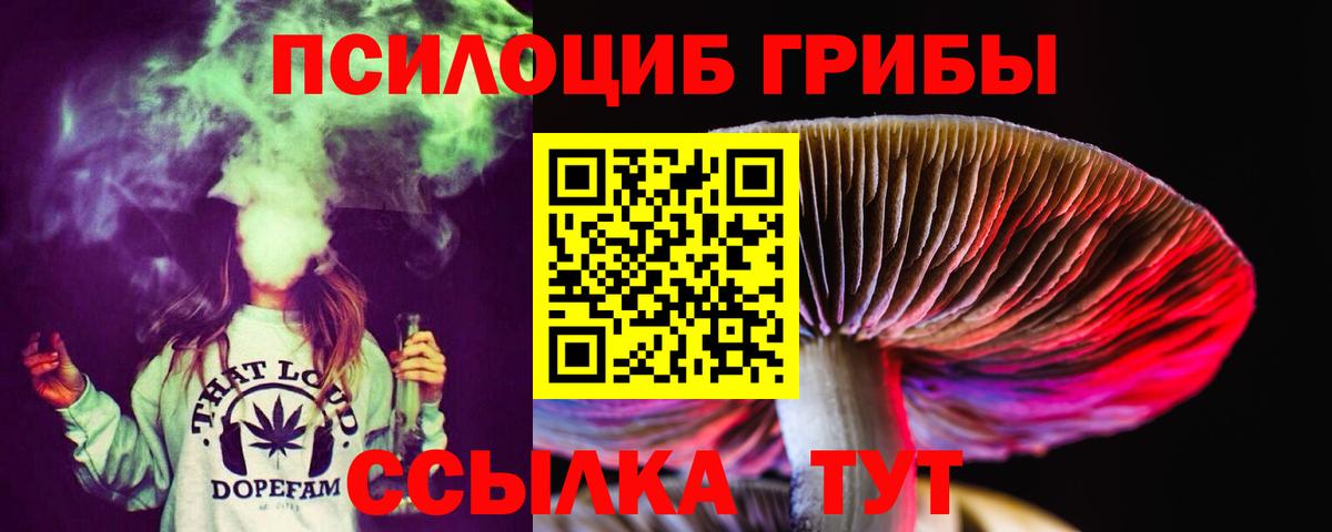 Псилоцибиновые грибы Cubensis Дзержинский